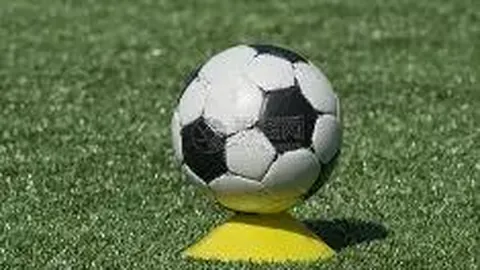 米兰体育 产品 083744 gun